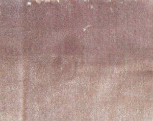 CHASE ERWIN SILK VELVET FABRIC